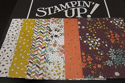 Stampin' Up Designer Series Paper Card Front Layers A2 Dsp Fronts (2016- Current