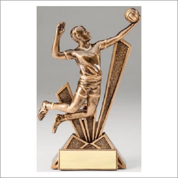 6.5" Volleyball Male Trophy Personalized Free